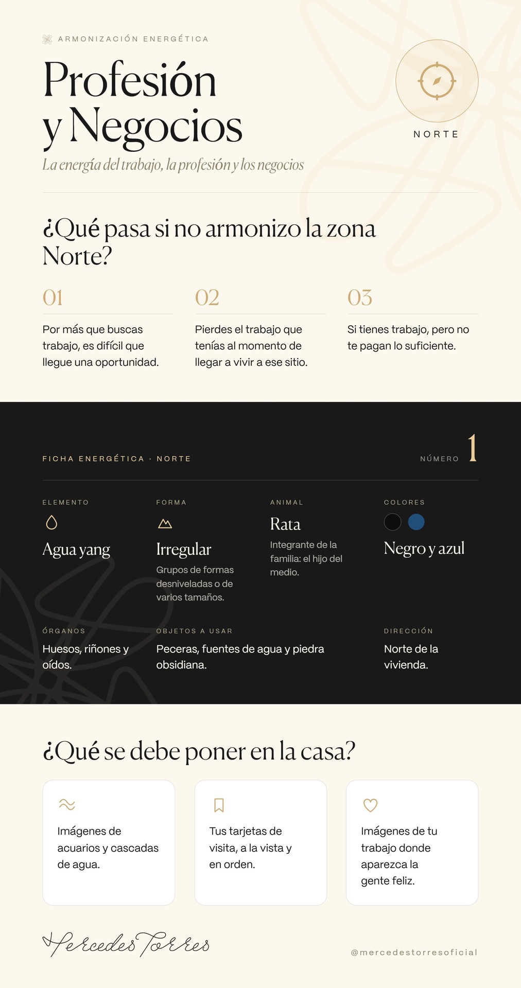 5. Norte — Profesión y Negocios